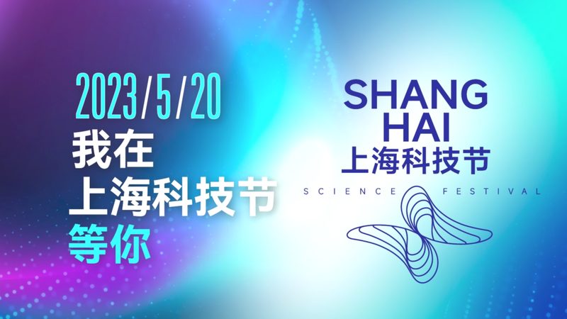 襄阳市信息咨询有限公司
